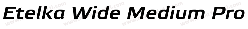 Etelka Wide Medium Pro Bold Italic字体转换